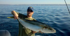 Great coastal yellowtail fishing this month