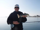 Bay Fishing, On the Fly Fishing Charters, California Shark Fishing, San Diego, CA