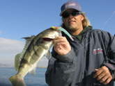 Bay Fishing, On the Fly Fishing Charters, California Shark Fishing, San Diego, CA