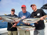 Offshore Fishing, On the Fly Fishing Charters, California Shark Fishing, San Diego, CA