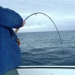 Testimonial, On the Fly Fishing Charters, California Shark Fishing, San Diego, CA