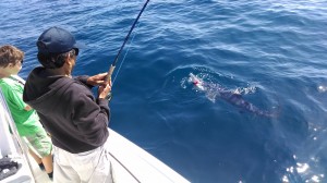Galvan reel inventor Boni Galvan comes shark fishing