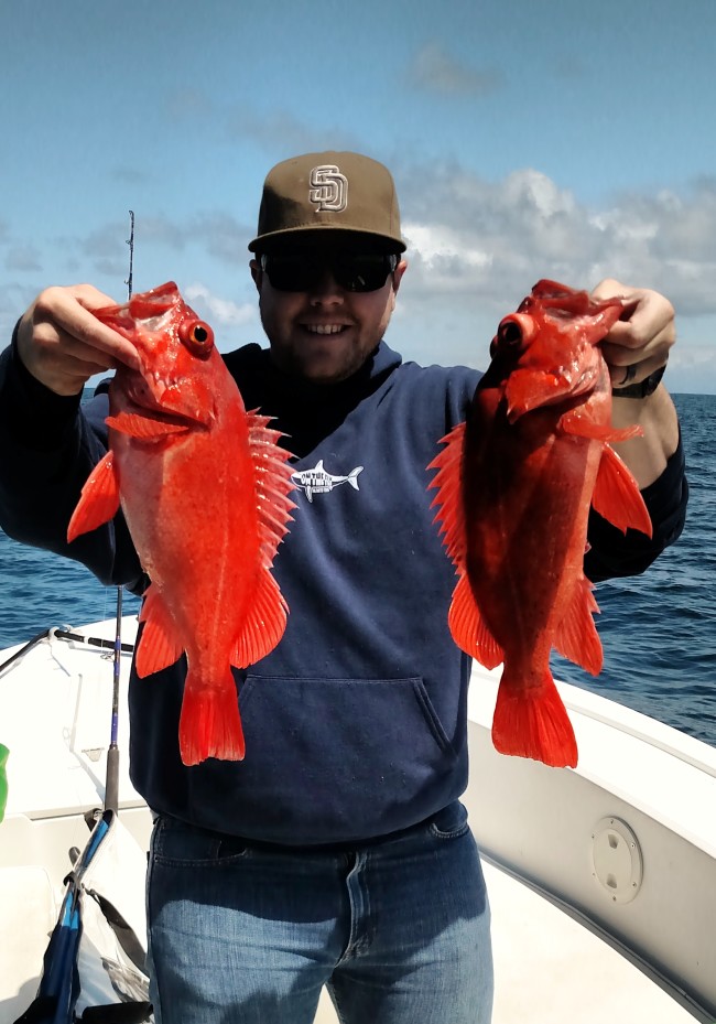 Morning Rock Cod Trips $575 for up to 3 anglers
