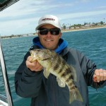 Inshore fishing, On the Fly Fishing Charters, California Shark Fishing, San Diego, CA