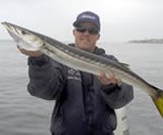 Inshore Fishing, On the Fly Fishing Charters, California Shark Fishing, San Diego, CA