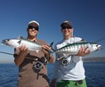 Inshore Fishing, On the Fly Fishing Charters, California Shark Fishing, San Diego, CA