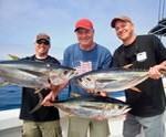 Offshore Fishing, On the Fly Fishing Charters, California Shark Fishing, San Diego, CA